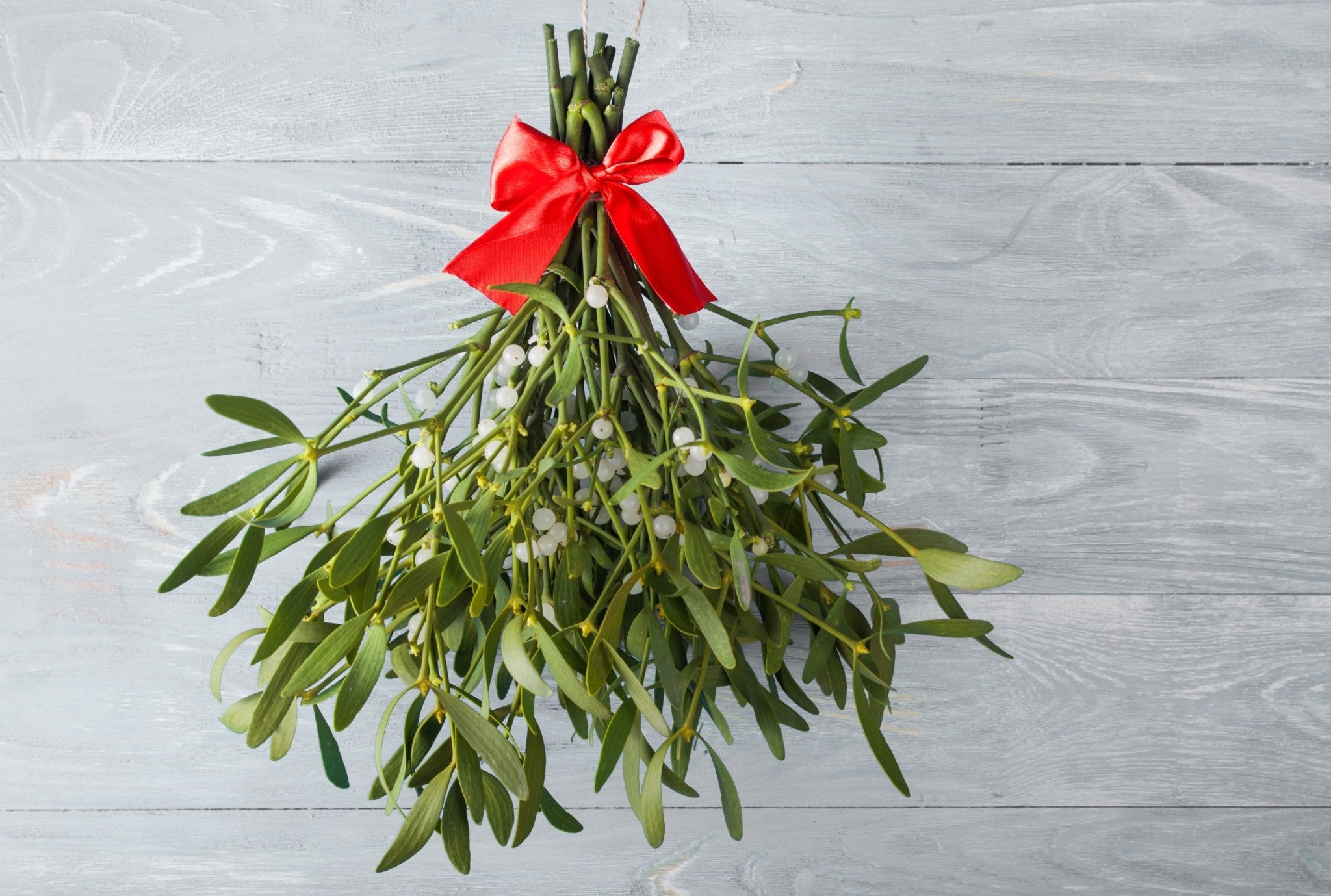 Under the Mistletoe, 3.5 oz Room Spray - Candeo Candle