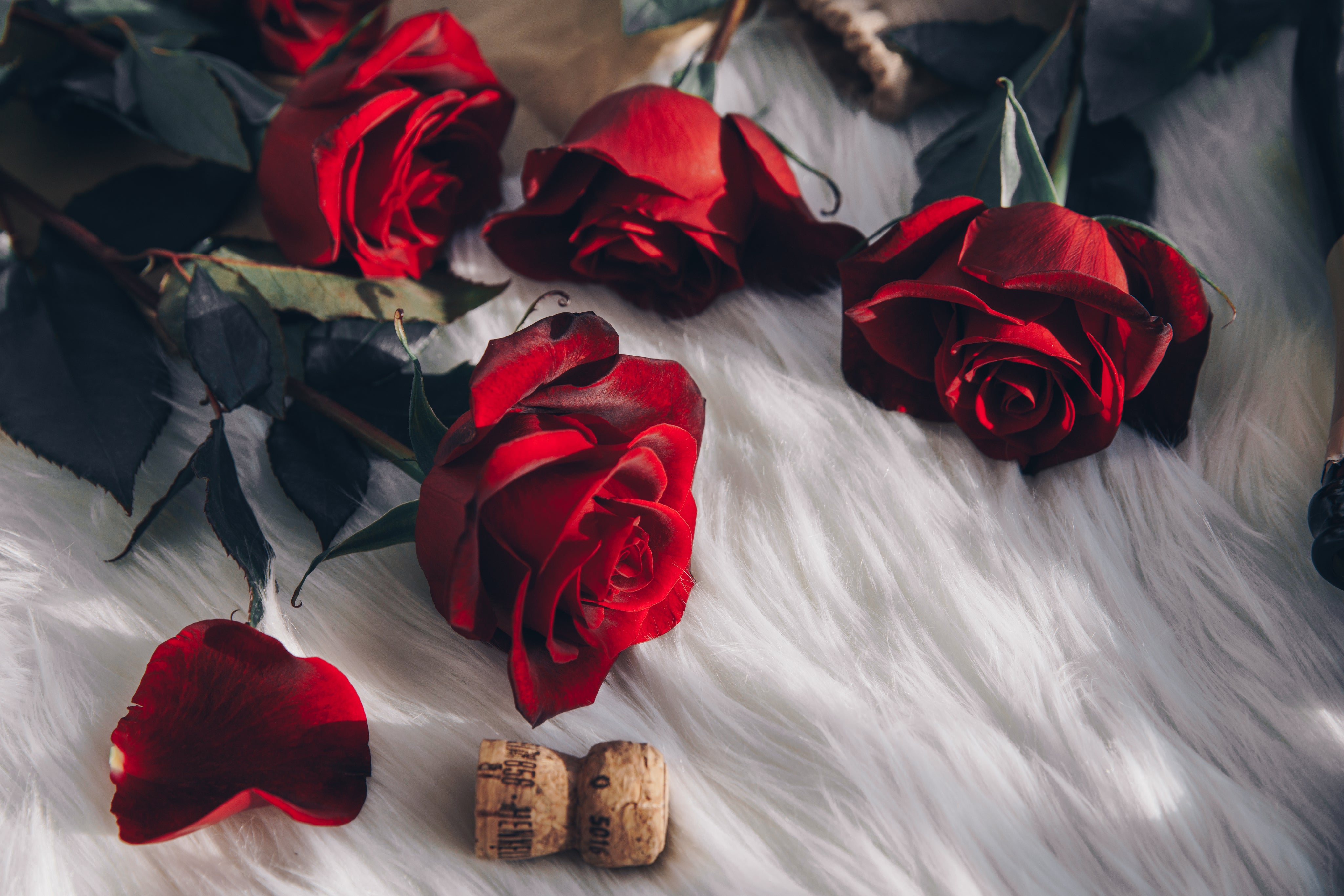 Valentine's Day