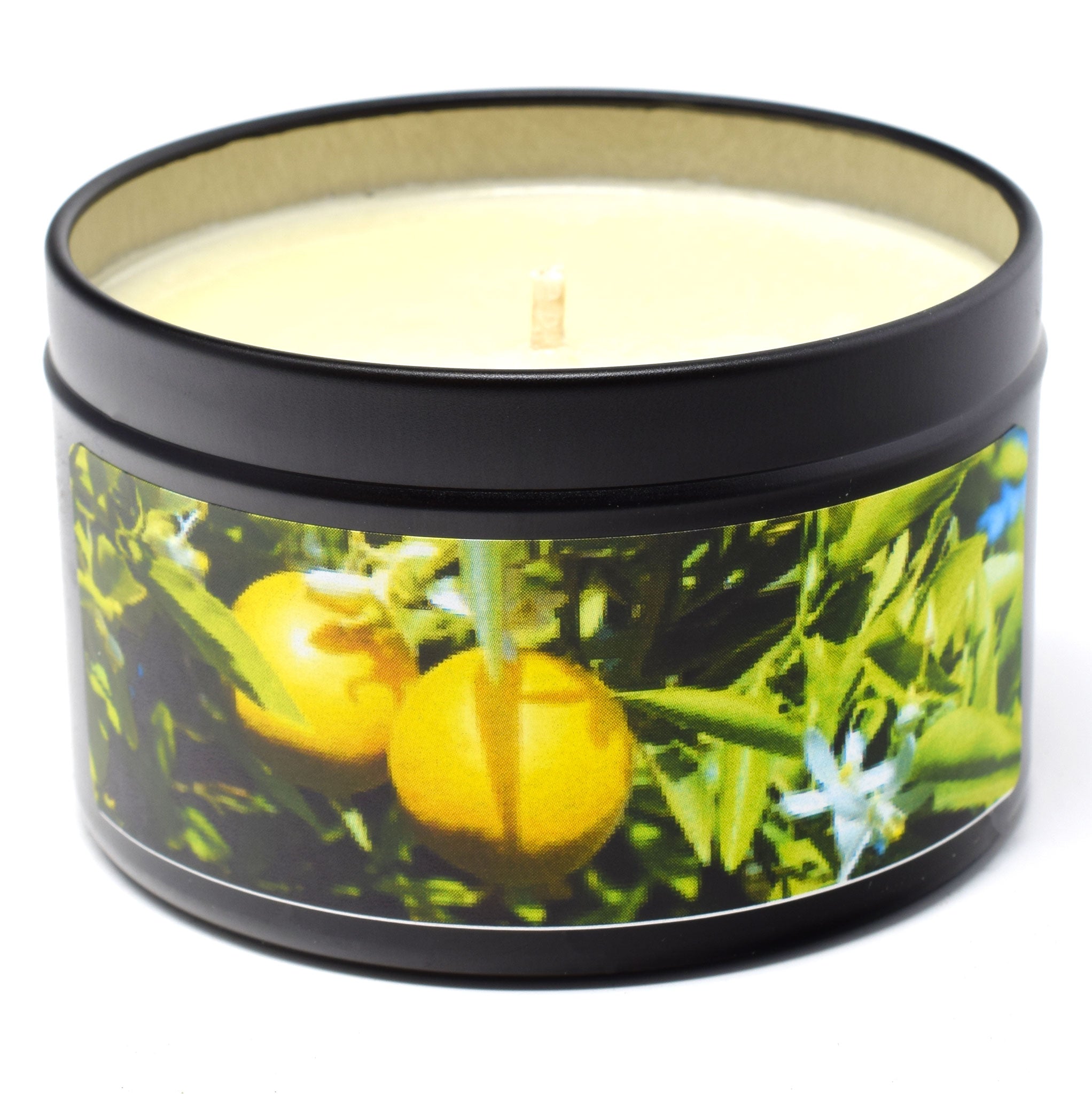 Candeo Candle Soy Candle - Thumbnail 3